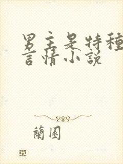 男主是特种兵的言情小说