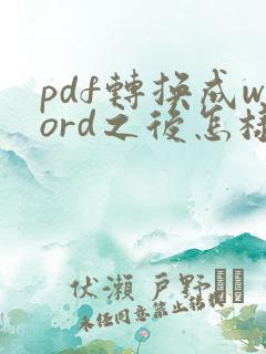 pdf转换成word之后怎样调整排版