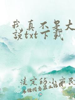 我真不是大佬小说txt下载