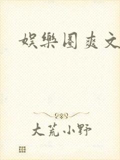 娱乐圈爽文