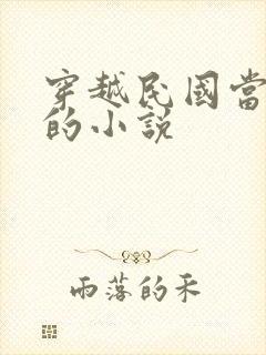 穿越民国当文人的小说