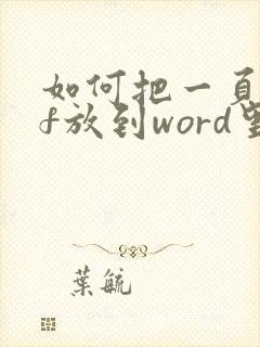 如何把一页pdf放到word里