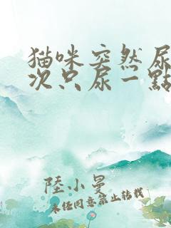 猫咪突然尿频每次只尿一点