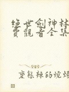 绝世剑神林辰免费观看全集