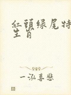 红头绿尾特哪个生肖
