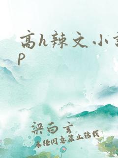 高h辣文小说np