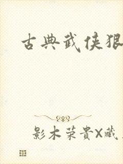 古典武侠狠狠干