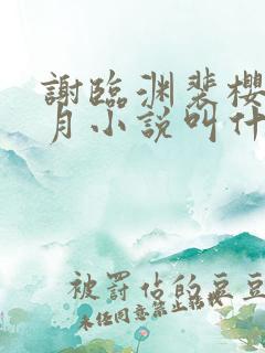 谢临渊裴樱苏江月小说叫什么名字