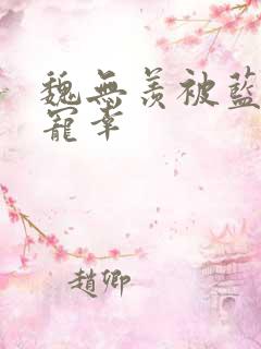 魏无羡被蓝忘机宠幸