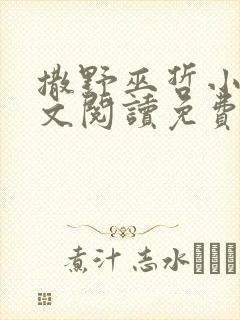 撒野巫哲小说全文阅读免费