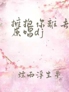 拥抱你离去歌曲原唱dj
