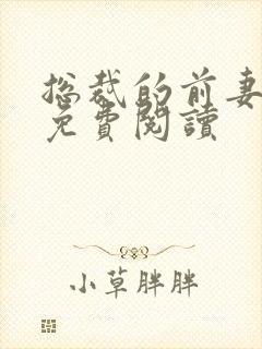 总裁的前妻替身免费阅读