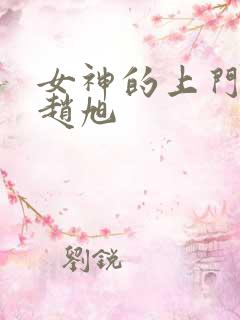 女神的上门豪婿赵旭