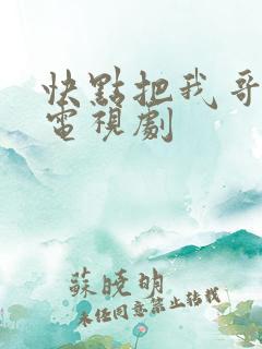 快点把我哥带走电视剧