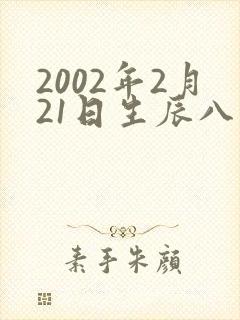 2002年2月21日生辰八字