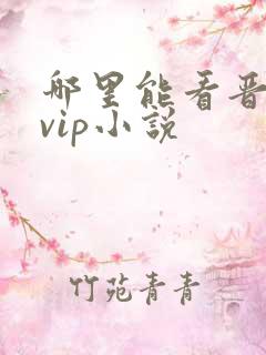 哪里能看晋江的vip小说