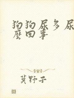 狗狗尿多尿频怎么回事