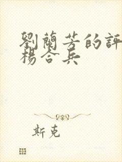 刘兰芳的评书呼杨合兵