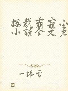 总裁霸宠小甜妻小说全文免费阅读