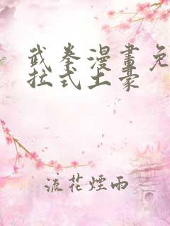 武拳漫画免费下拉式土豪
