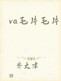 va毛片毛片