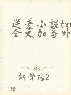 逆袭小说txt全文加番外