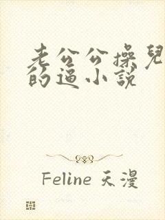 老公公操儿媳妇的逼小说