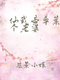 仙武帝尊叶辰几个老婆