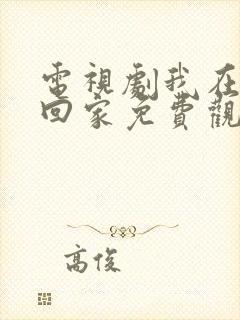 电视剧我在等你回家免费观看全集高清