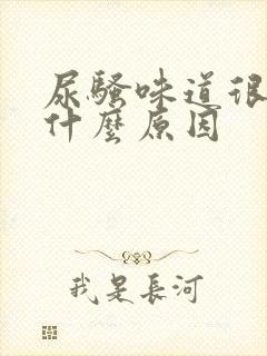 尿骚味道很重是什么原因