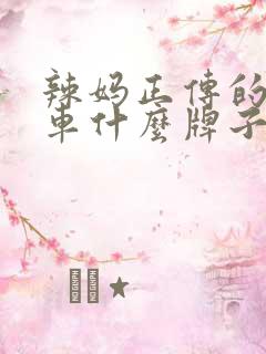 辣妈正传的婴儿车什么牌子