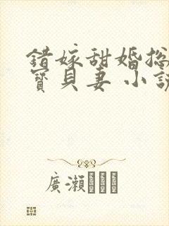 错嫁甜婚总裁的宝贝妻 小说完整板