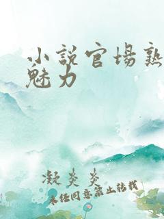 小说官场熟女的魅力