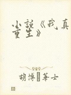 小说《我真没想重生》