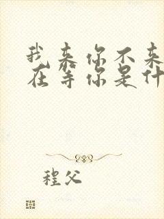 我来你不来我都在等你是什么歌