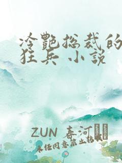 冷艳总裁的贴身狂兵 小说
