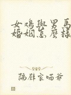 女鸡与男马相配婚姻怎么样