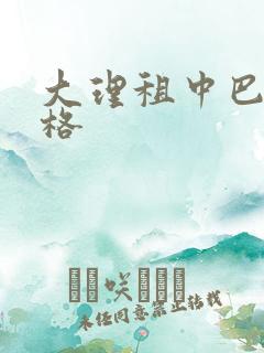 大理租中巴车价格