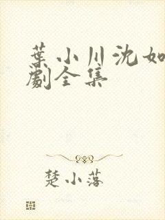 叶小川沈如萱短剧全集