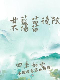 甘蓝苗后除草剂不伤苗