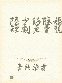 陆少的隐婚罪妻短剧免费观看