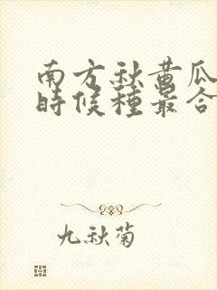 南方秋黄瓜什么时候种最合适