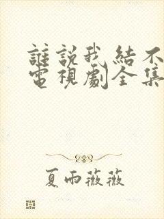谁说我结不了婚电视剧全集免费
