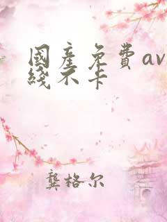 国产免费av在线不卡