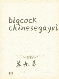 bigcockchinesegayvideos