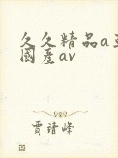 久久精品a亚洲国产av