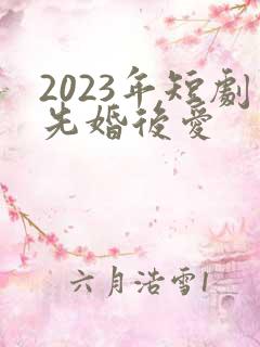 2023年短剧先婚后爱