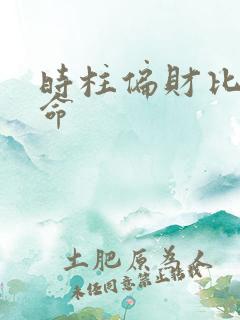 时柱偏财比肩女命