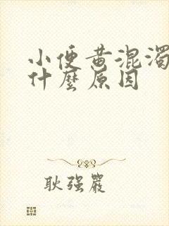 小便黄混浊女性什么原因
