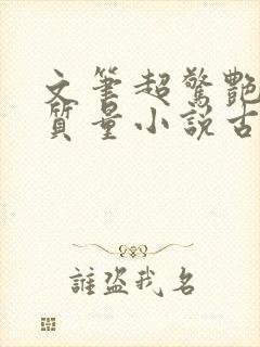 文笔超惊艳的高质量小说古代言情